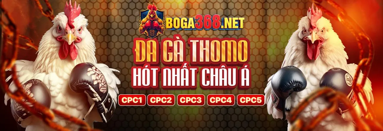 Tin tức mới nhất về 8dayvn casino và các sự kiện giải trí trực tuyến
